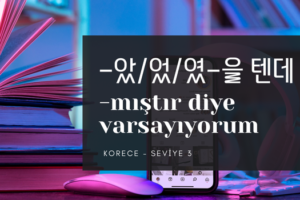 3.5.4. -았_었_였-을 텐데 ~ -mıştır diye varsayıyorum